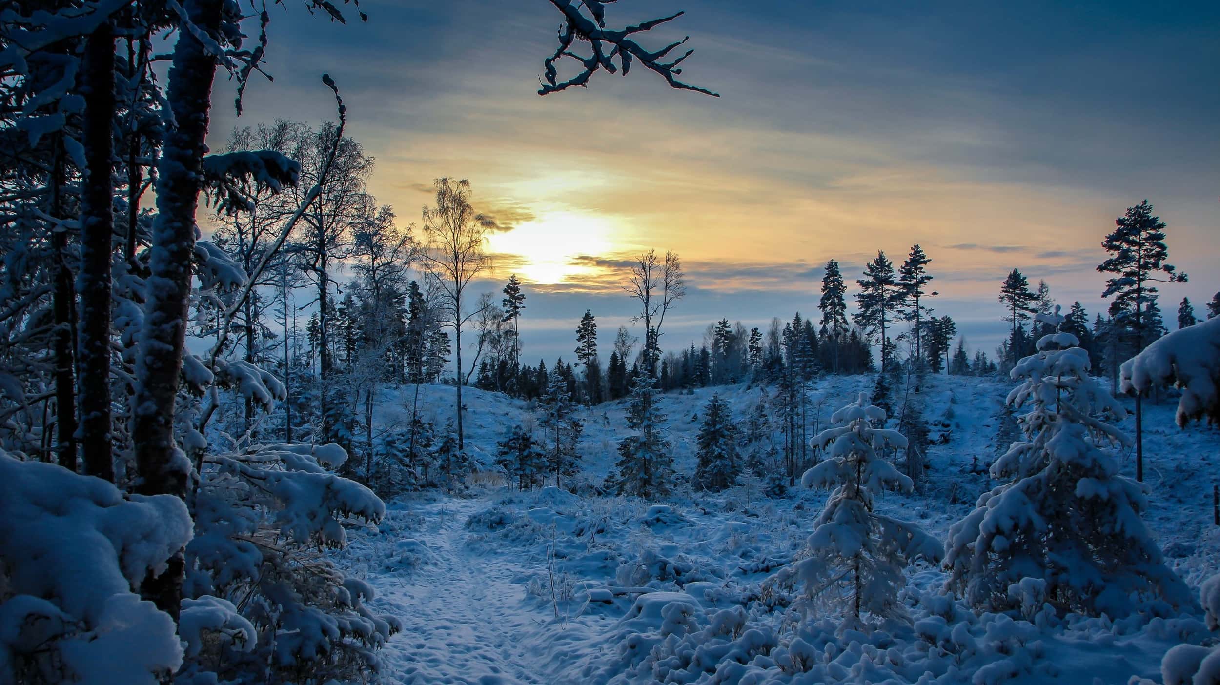 Vinterlandskap sdak Jessheim